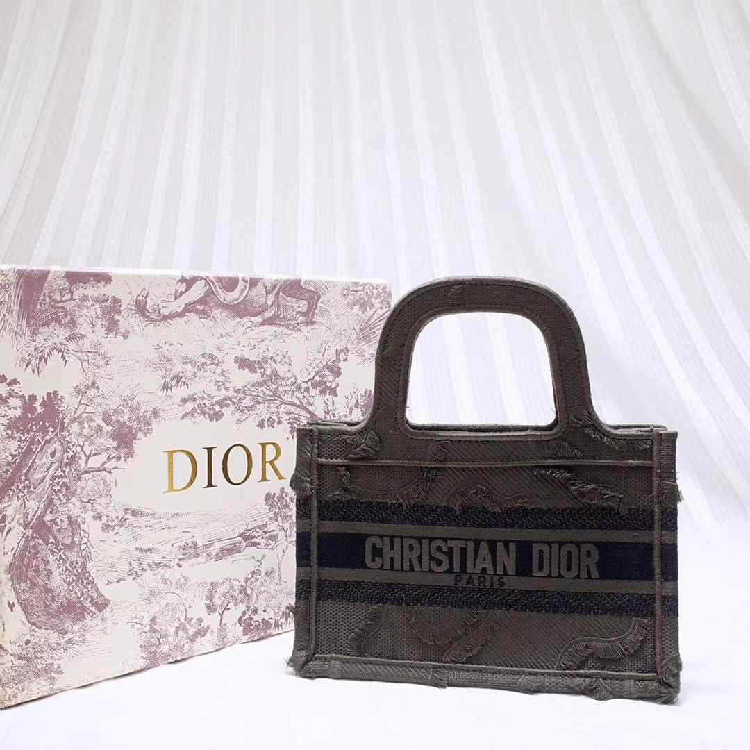 Christian DIOR CD BOOK TOTE MINI 23x17x7cm