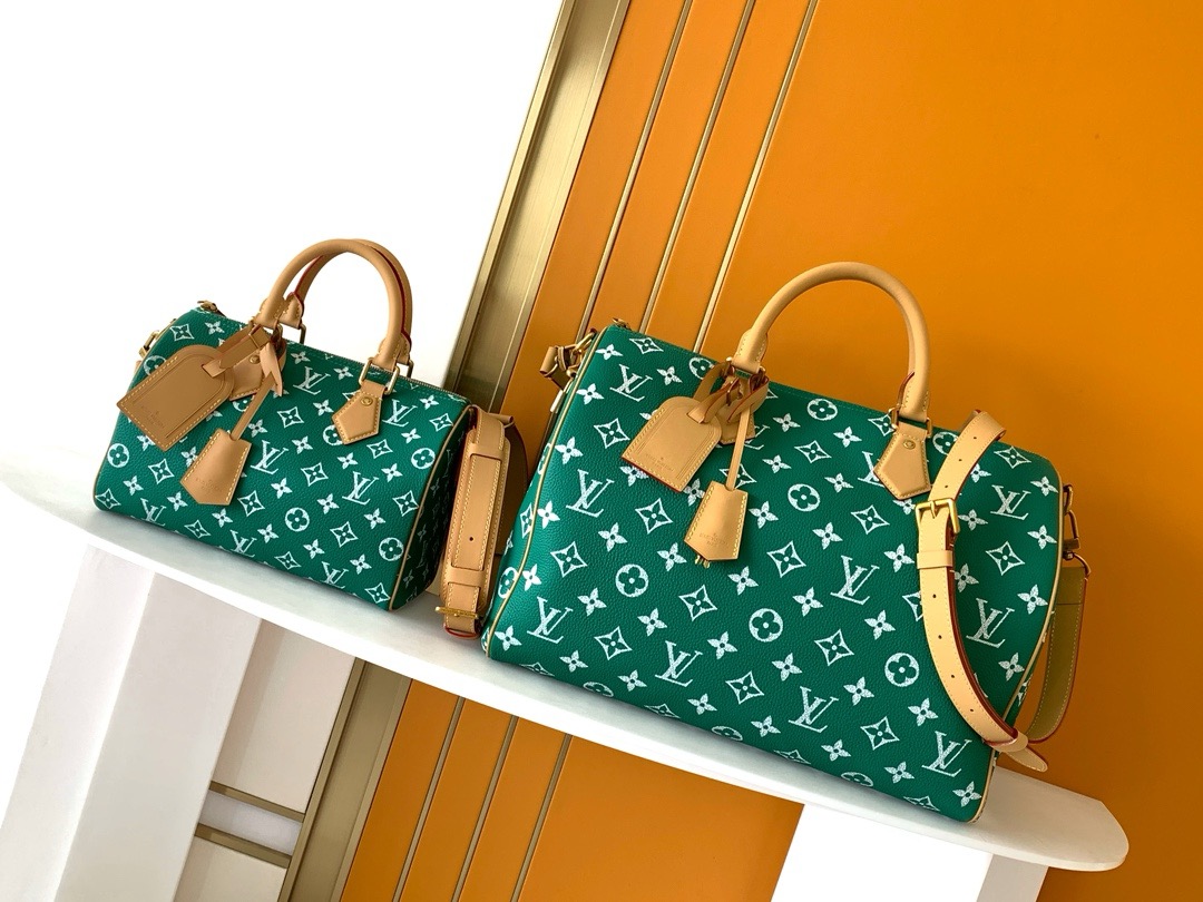 L\V new handbag 250525
