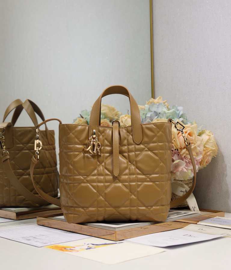 DlOR NEW WOMENS HANDBAG 250526
