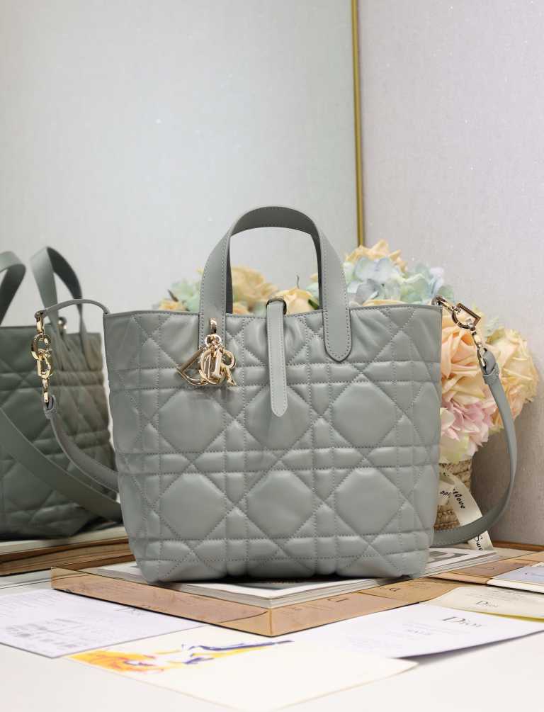 DlOR NEW WOMENS HANDBAG 250526
