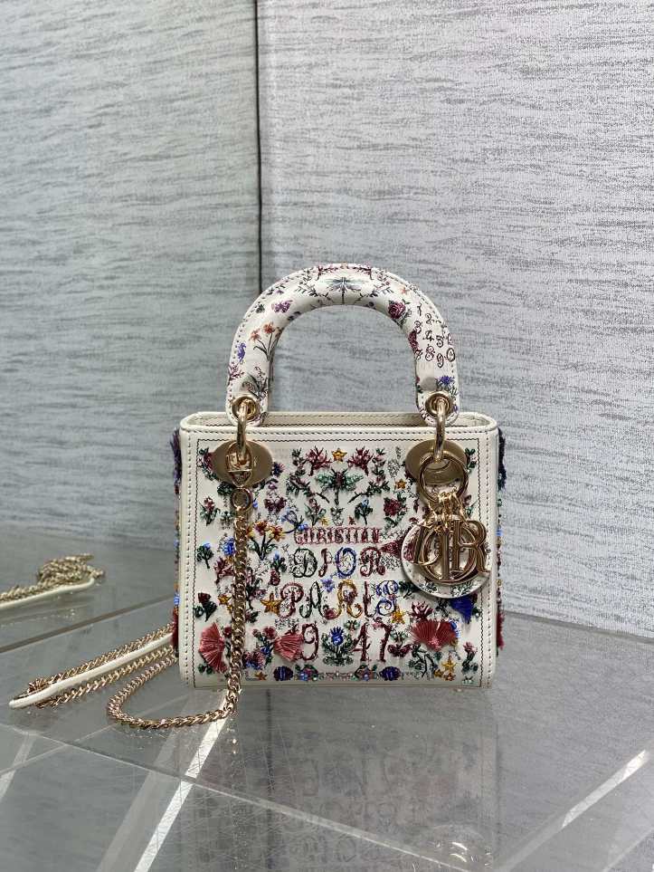 DlOR womens handbag 251231