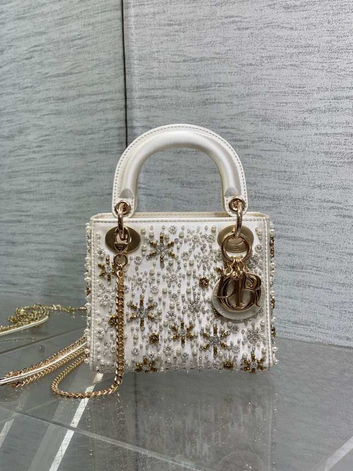 DlOR womens handbag 251231