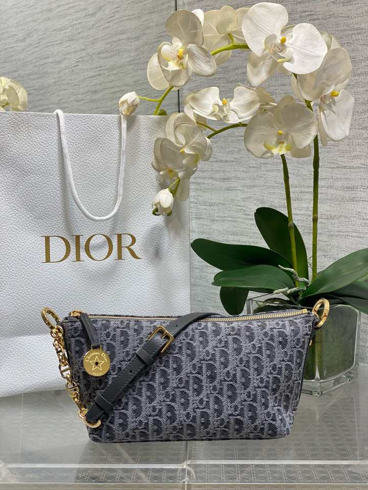 DlOR new womens handbag 260114